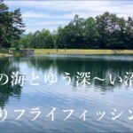 【管釣りフライ】蓼の海とゆうディープな沼について #flyfishing #フライフィッシング