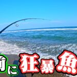 遠州灘サーフでショアジギング！”○○な魚”がこの時期は多く、見掛けたら他の魚が・・・🐟in遠州灘、田原サーフ【釣行日2025/06/30(月)】