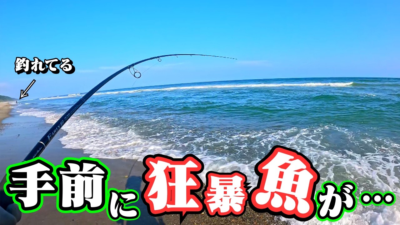 遠州灘サーフでショアジギング！”○○な魚”がこの時期は多く、見掛けたら他の魚が・・・🐟in遠州灘、田原サーフ【釣行日2025/06/30(月)】