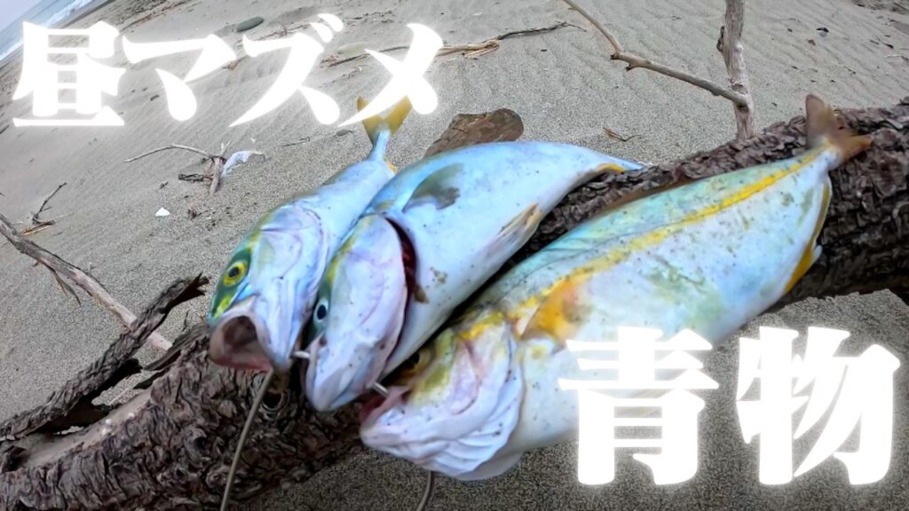 ベイトまみれの遠州灘サーフでショアジギングをしたら青物が釣れました🐟in遠州灘、田原サーフ【釣行日2025/07/07(月)】