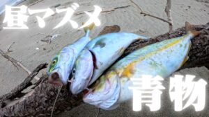 ベイトまみれの遠州灘サーフでショアジギングをしたら青物が釣れました🐟in遠州灘、田原サーフ【釣行日2025/07/07(月)】