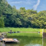 地元民しか知らない野池でへらぶな釣り！魚影が濃くて両ダンゴでバクバク！【桜の湖 エフピコ sakura lake】