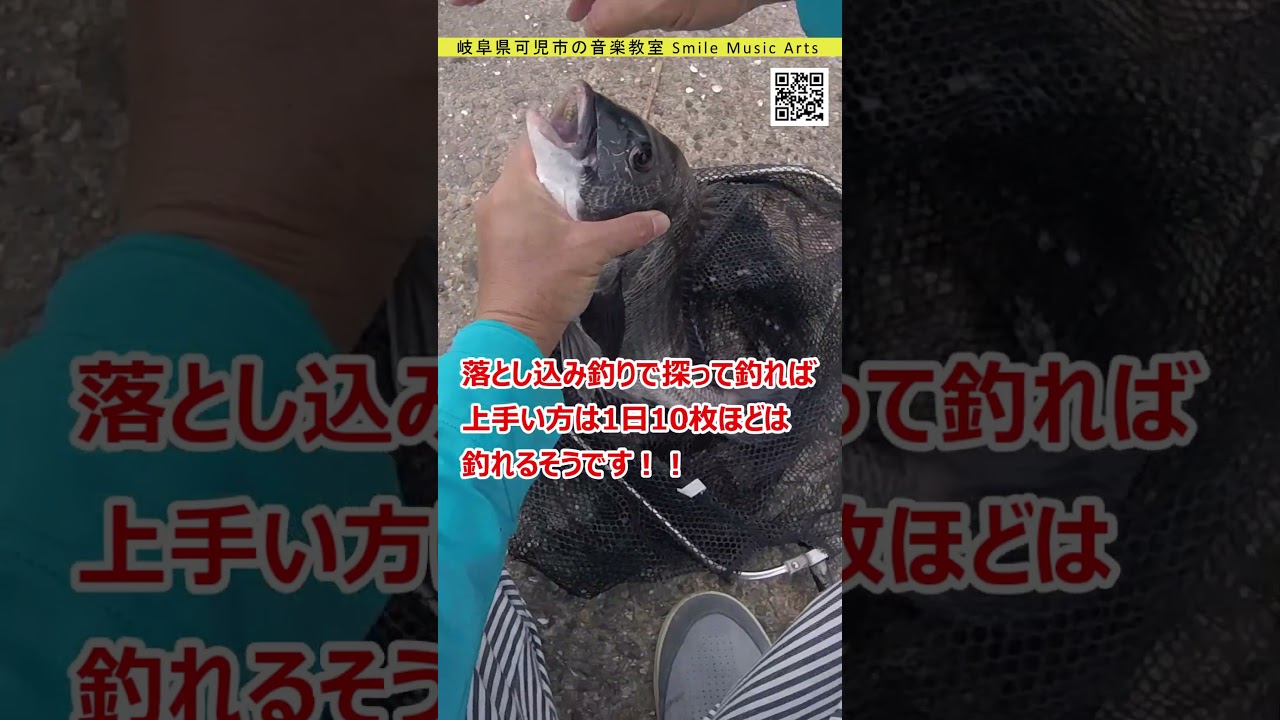 筏竿で堤防ヘチのチヌ釣り #shorts