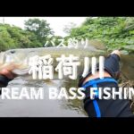 【stream fishing】牛久沼河口稲荷川でバス釣り