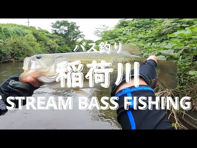 【stream fishing】牛久沼河口稲荷川でバス釣り
