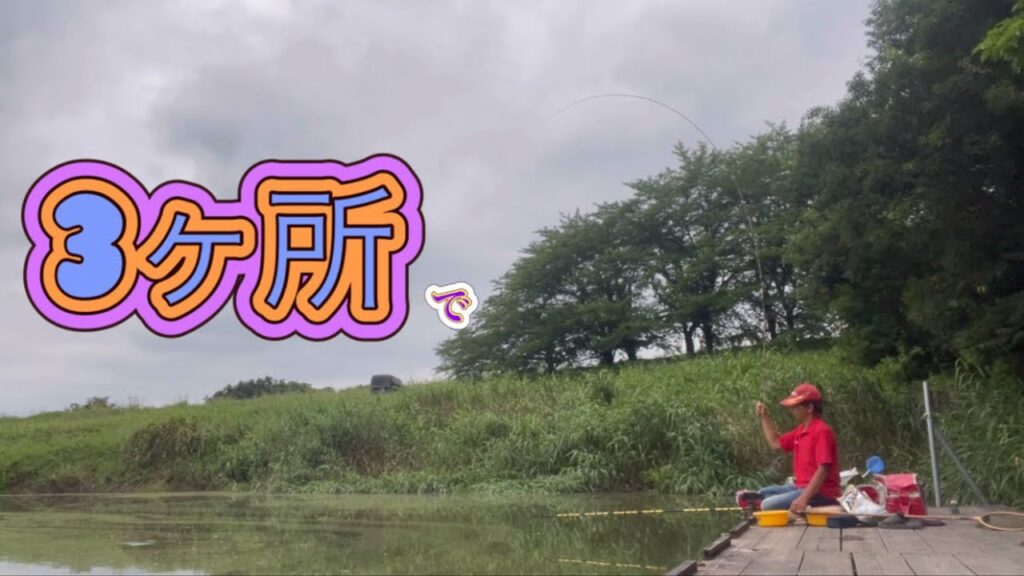 《へらぶな釣り to 切れ所沼》前2ヶ所でコテンパンに😣ここはどうか？だったが無事に絞れた😆