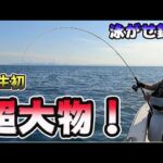 【泳がせ釣り】大物連発！ 人生初の超大物を釣り上げた！！ブリを狙ってオフショア釣行 ケン坊さんの船で青物釣れるまで終われません！コーキtv