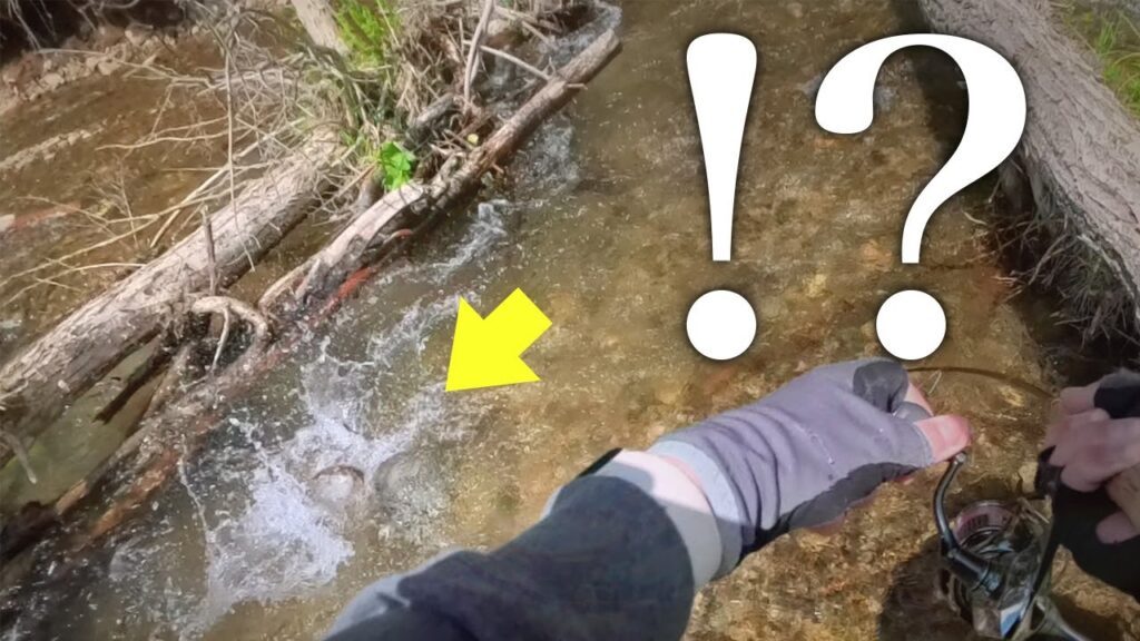 フックを伸ばした怪魚の正体とは！？【北海道渓流釣り】