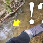 フックを伸ばした怪魚の正体とは！？【北海道渓流釣り】