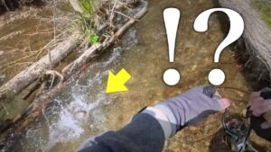 フックを伸ばした怪魚の正体とは!?【北海道渓流釣り】