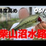 【埼玉バス釣りポイント】難易度高めの柴山沼に挑戦！【ブラックバス】