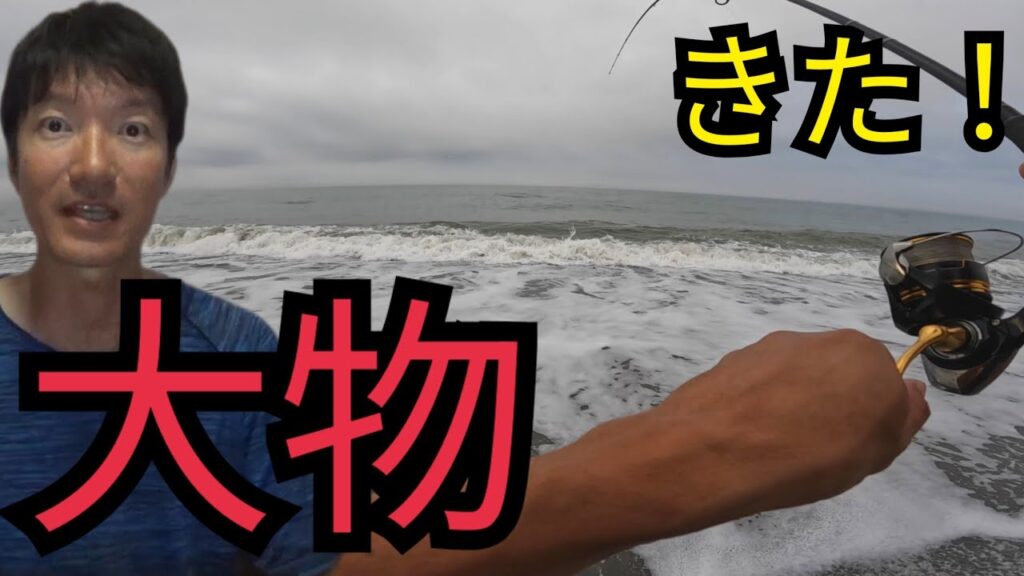 遠州灘サーフへダイソージグ持って釣りに行ったら…