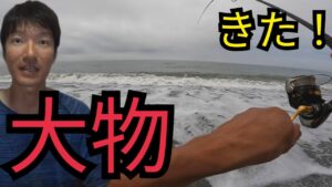 遠州灘サーフへダイソージグ持って釣りに行ったら…