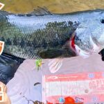 【検証】奥多摩湖にもう一度行って、爆釣するのか確かめた。