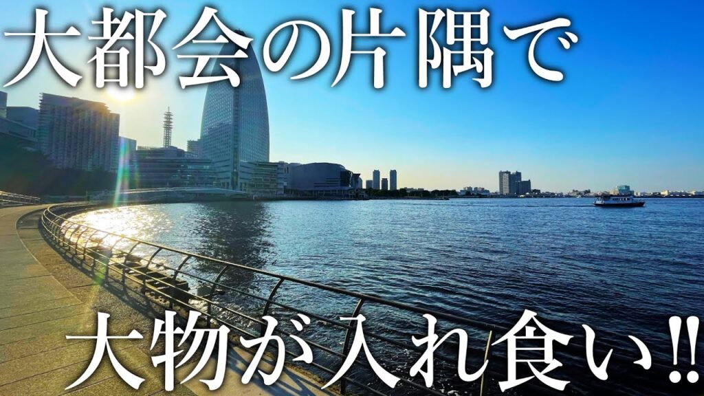 【釣り人ゼロ…】都会の超穴場で簡単に大物が連発する［足元カゴ釣り］を紹介