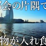 【釣り人ゼロ…】都会の超穴場で簡単に大物が連発する［足元カゴ釣り］を紹介