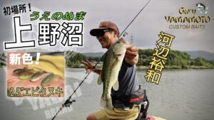 河辺裕和が初場所の上野沼に挑む！