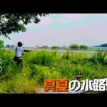 真夏の柴山沼は水路が暑いけど熱い！