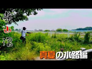 真夏の柴山沼は水路が暑いけど熱い!