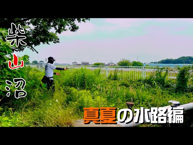 真夏の柴山沼は水路が暑いけど熱い！