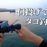 ダイソーエギでタコが連発する、今年の浜名湖が凄すぎる！