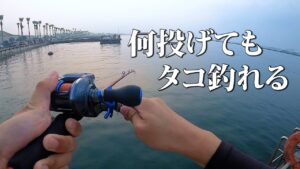 ダイソーエギでタコが連発する、今年の浜名湖が凄すぎる!