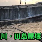 【入間川バス釣り】田島屋堰の日暮れ