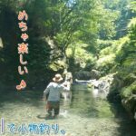 暑い夏は涼しい渓流が楽しい～♪  ここも東京です～♪ 檜原村 南秋川で小物釣り。