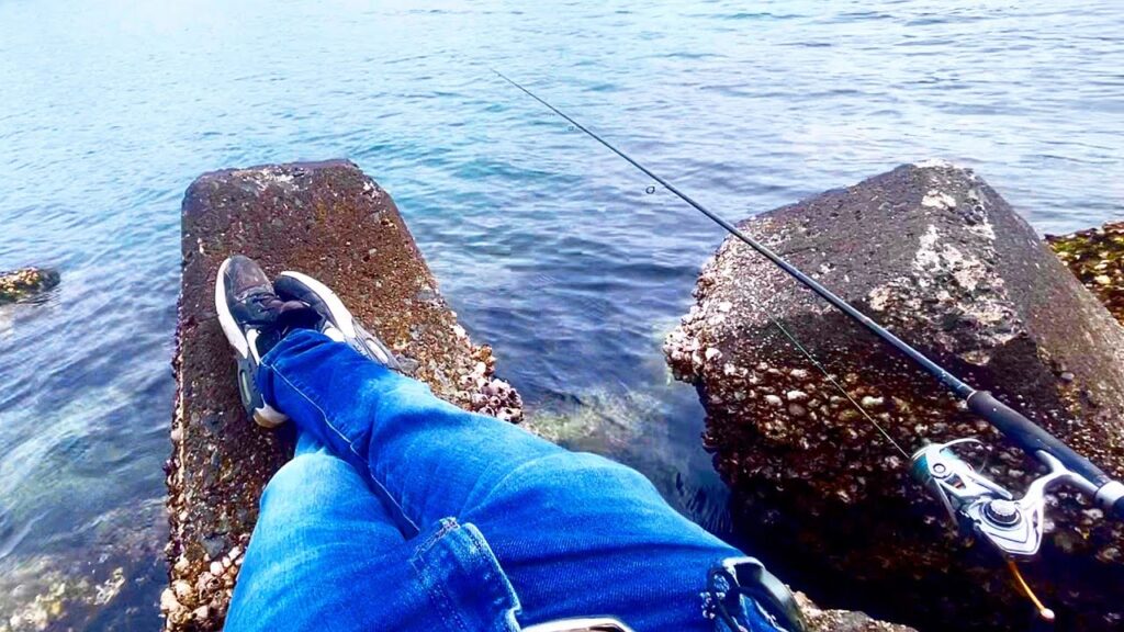 のんびり釣りをしていると…全く手も足も出ない化け物来た。