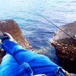 のんびり釣りをしていると…全く手も足も出ない化け物来た。