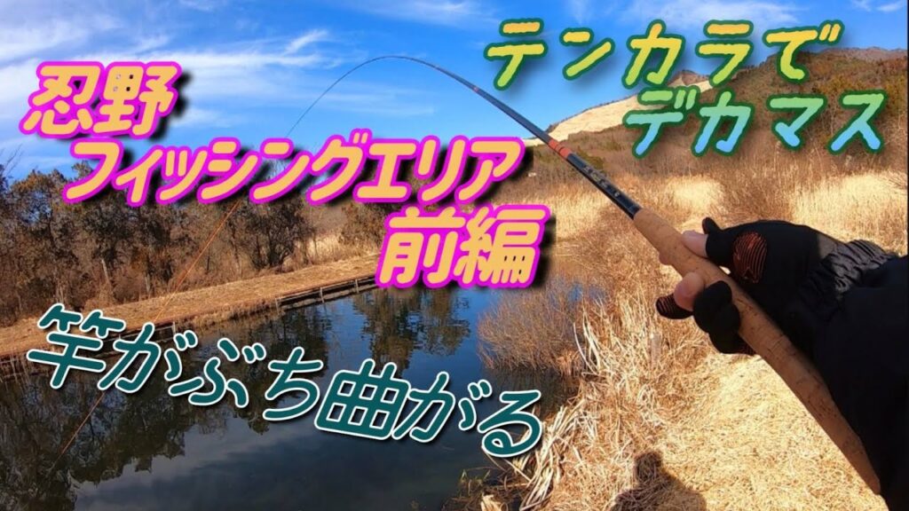 【管理釣り場】デカマスだらけの管理釣り場にテンカラ釣り初心者が行ってみたら...
