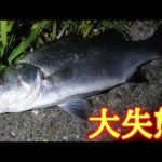 【浜名湖釣り】🎣浜名湖シーバスこう言う時に限って撮影してない運の悪さ🐟渚園でも調査釣行！