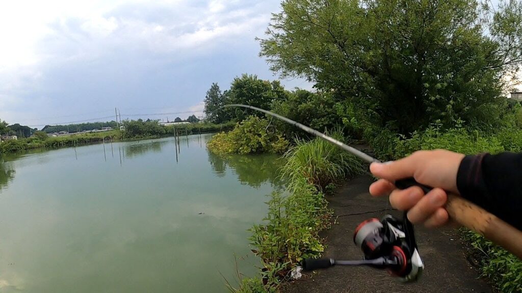 埼玉にある謎のバス管理釣り場を探索！