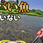 大物竿をブチ曲げる魚しかいない川。