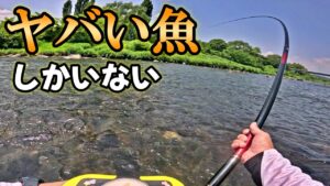 大物竿をブチ曲げる魚しかいない川。
