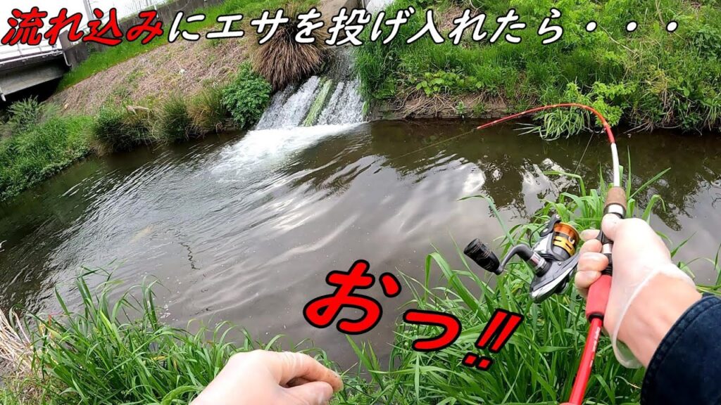 【爆釣】スプーンにミミズで川の魚が入れ食い！？知らなきゃ損する釣り方！