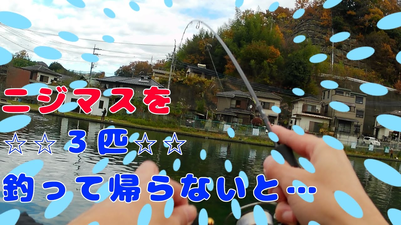 ニジマスを三匹釣って帰らないと…【管理釣り場】