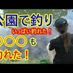 太田ヶ谷沼で初夏の釣り。いっぱい釣れた！【鶴ヶ島市】