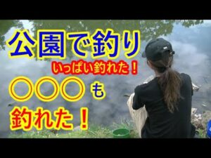 太田ヶ谷沼で初夏の釣り。いっぱい釣れた！【鶴ヶ島市】