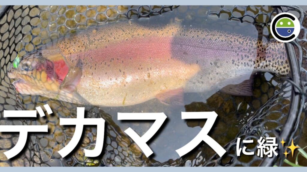 緑のスプーンが釣れるんです✨【エリアトラウト】【管理釣り場】【ユーランド清水川】