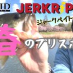 【千葉県手賀沼でバス釣り】美容師の休日は早朝釣りでリフレッシュする
