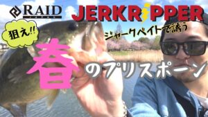 【千葉県手賀沼でバス釣り】美容師の休日は早朝釣りでリフレッシュする