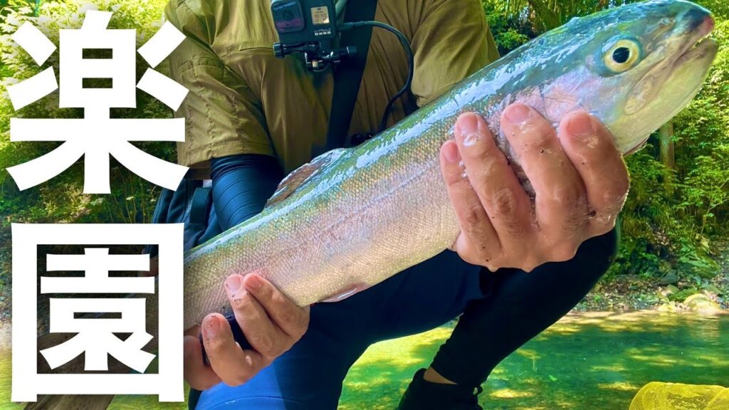 都内にある川型の管理釣り場は楽園だった...【エリアトラウト】【管理釣り場】【秋川国際国際マス釣場】