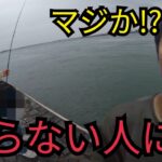浜名湖海釣り公園で釣りしてたら知らない人に話しかけられて…