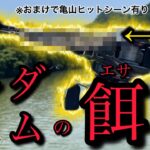 片倉ダムのエサ❗️【バス釣り】【笹川ボート】【亀山ダム】【夏】【笹川湖】