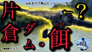 片倉ダムのエサ❗️【バス釣り】【笹川ボート】【亀山ダム】【夏】【笹川湖】