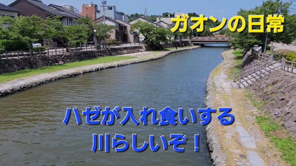 ハゼが無限に釣れる川にやってきた