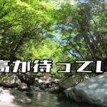 【渓流ルアー】夏本番‼︎渓流釣りが最高な季節‼️山岳渓流の魅力教えます‼️ #渓流ルアー  #渓流釣り  #渓流ルアー初心者  #トラウトルアー
