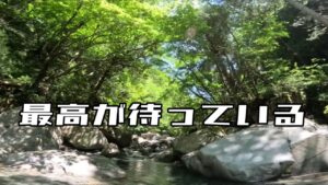 【渓流ルアー】夏本番‼︎渓流釣りが最高な季節‼️山岳渓流の魅力教えます‼️ #渓流ルアー #渓流釣り #渓流ルアー初心者 #トラウトルアー