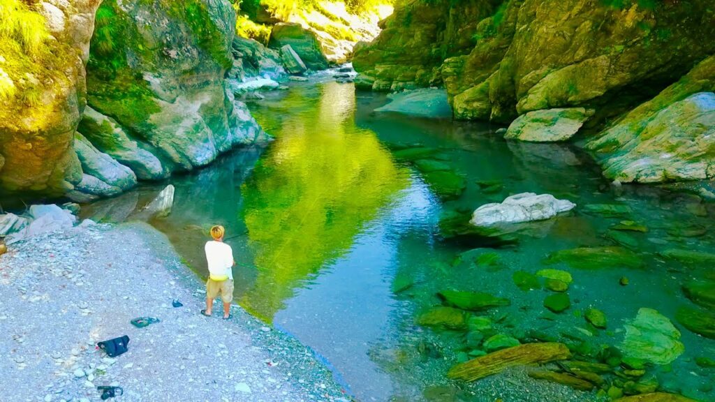 でっっっっかい魚しかおらへんやんここ…